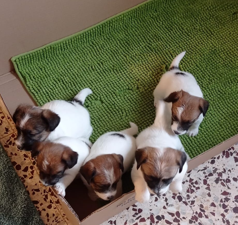 Img 20240907 wa0037~2