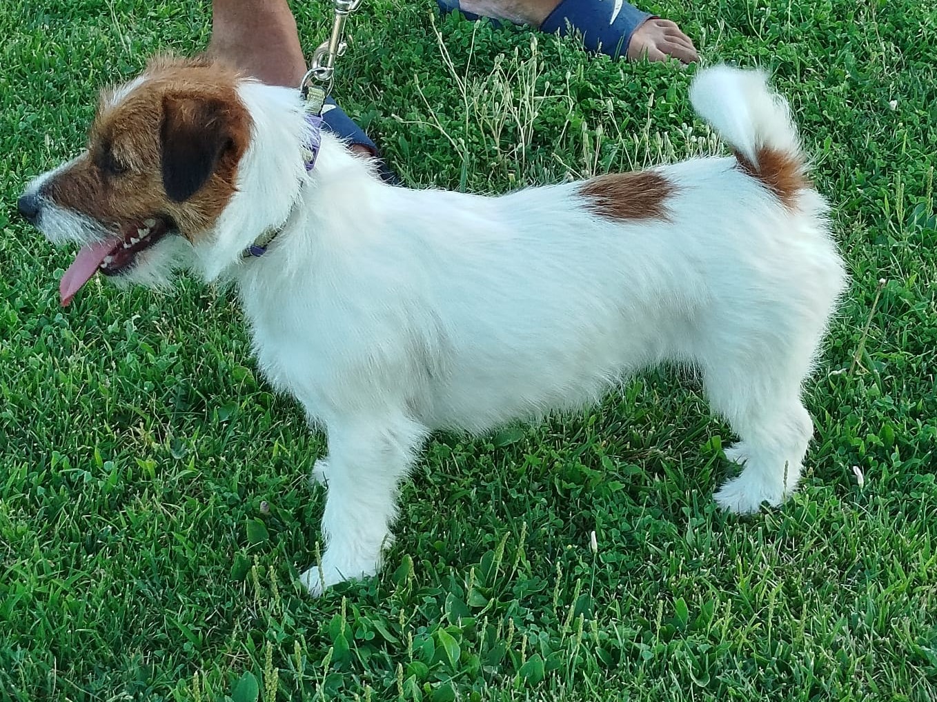 Img 20240907 wa0050~2