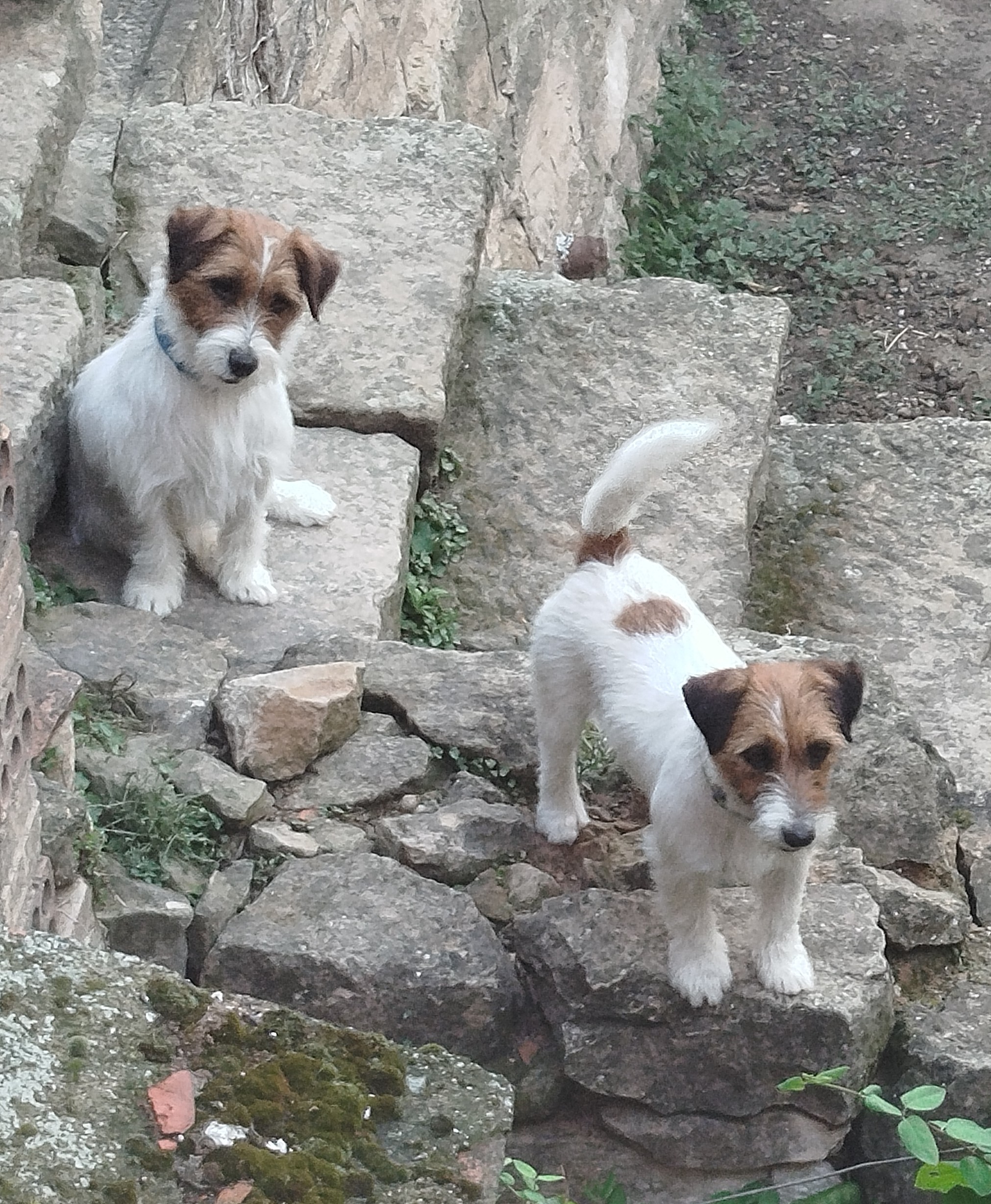 Img 20240620 082721~2