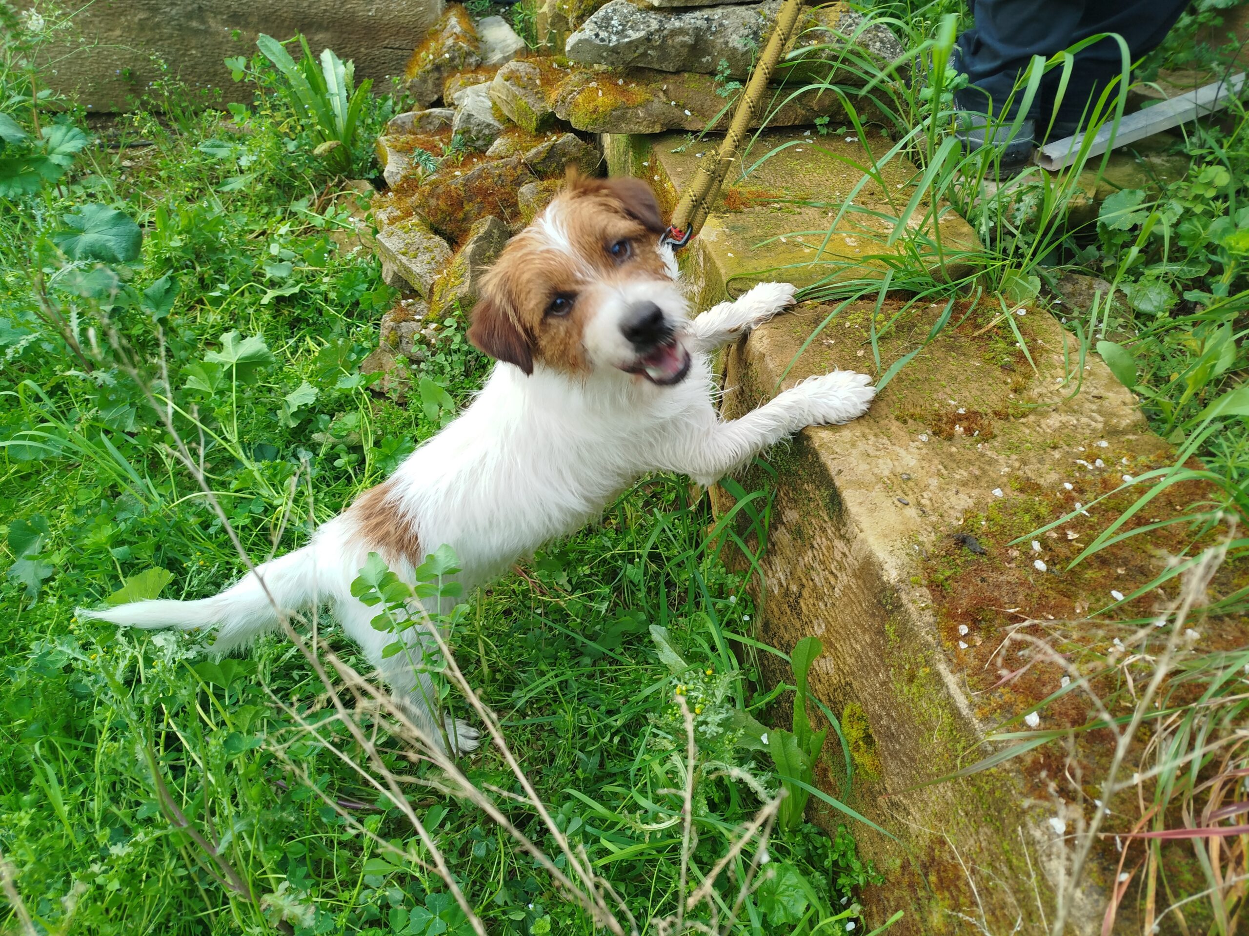 Img 20250316 102021~2