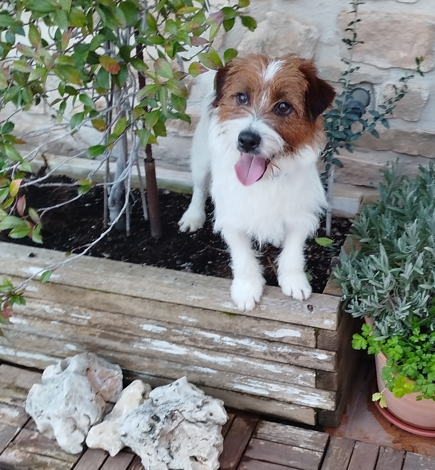 Img 20250322 190928~2