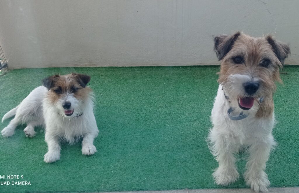 Img 20220730 2007382 1024x662