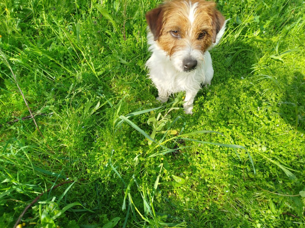 Img 20250316 102156 1024x768