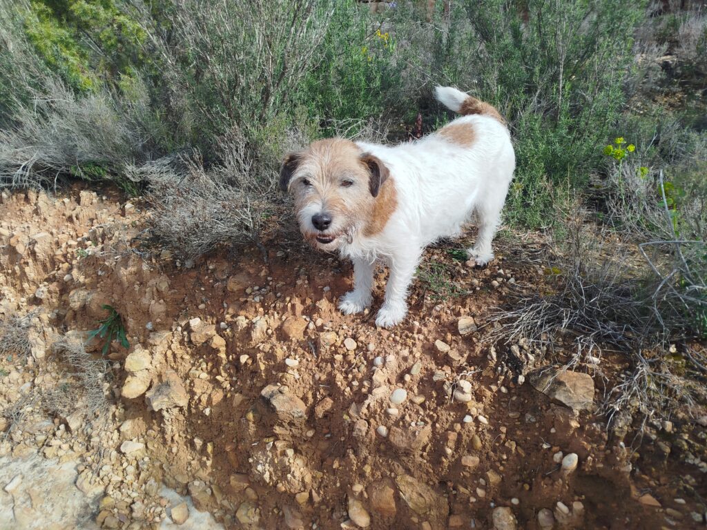 Img 20250316 103155 1024x768