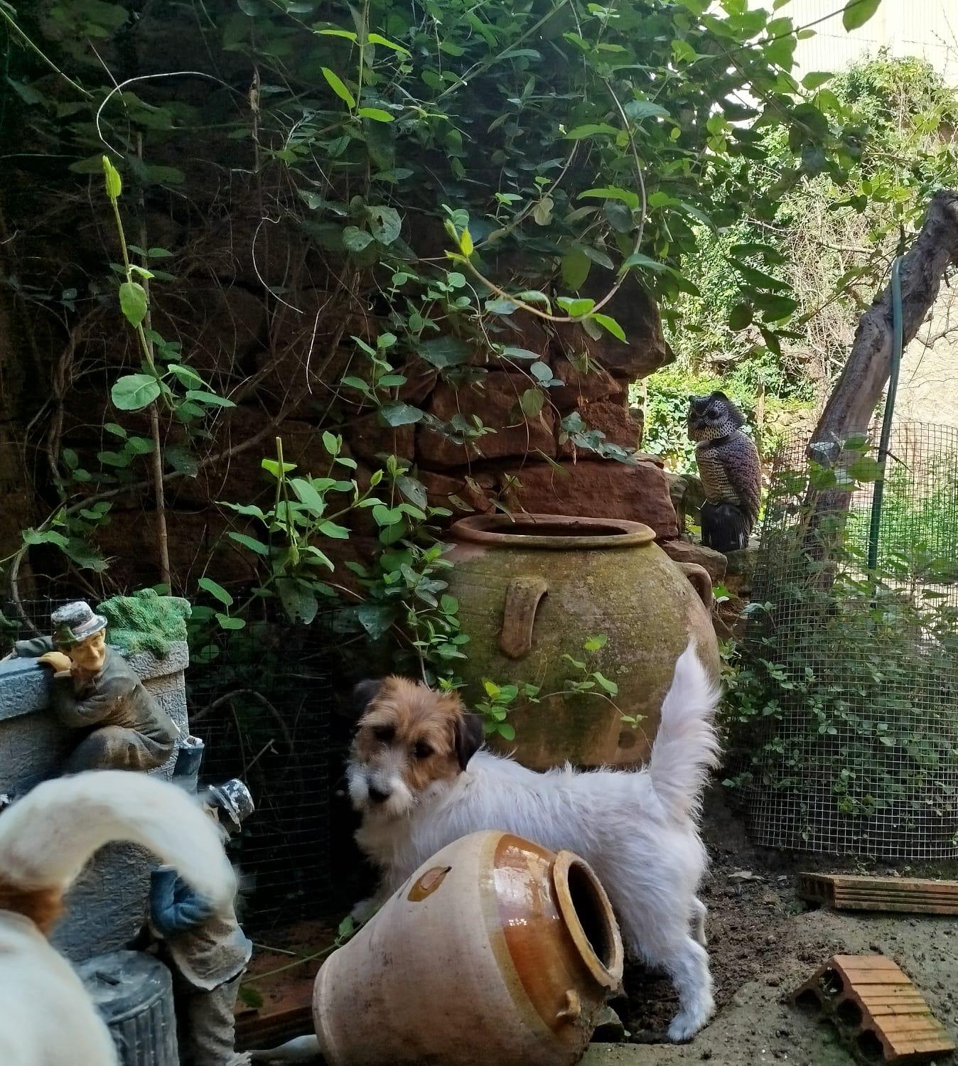 Imagen de whatsapp 2025 04 25 a las 11.29.00 fce40055