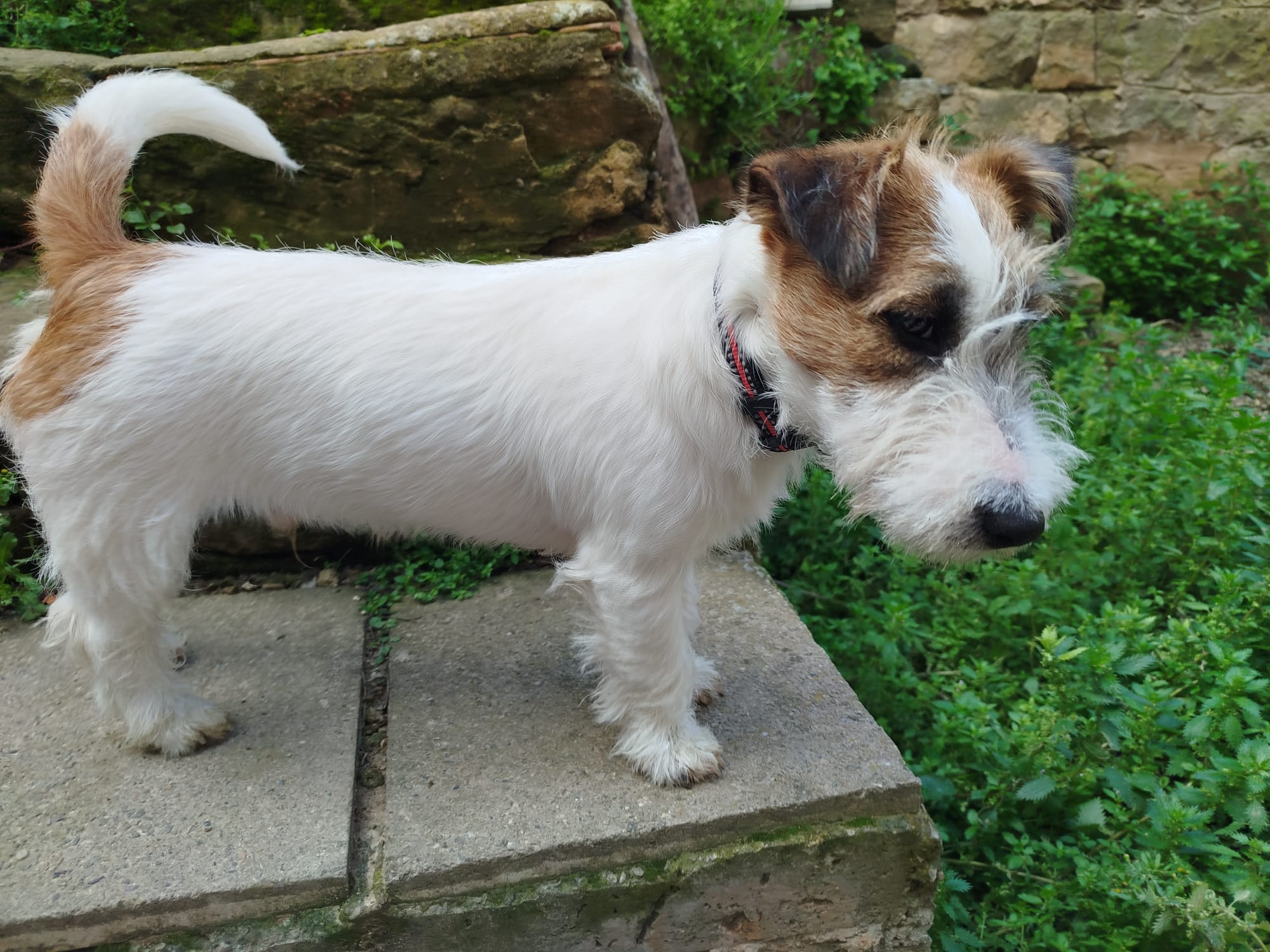 Imagen de whatsapp 2025 04 25 a las 11.29.01 a17f6482