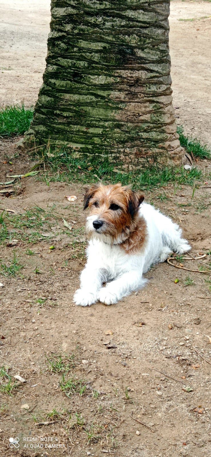 Imagen de whatsapp 2025 04 25 a las 11.29.01 b2e89fd8