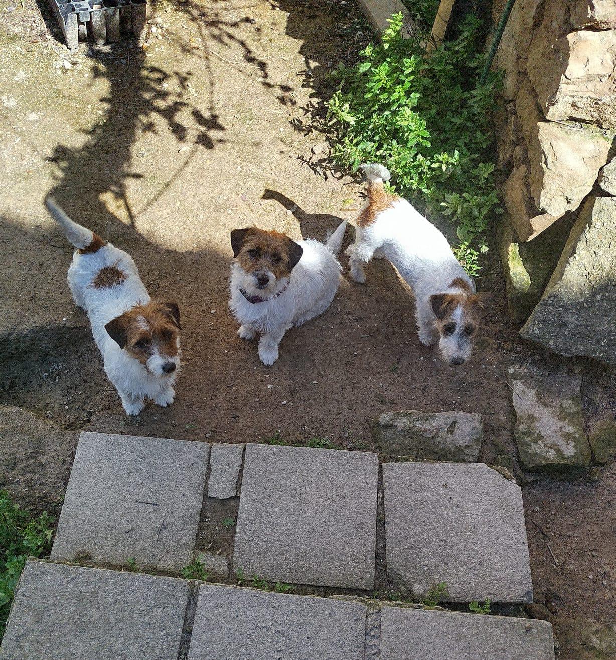 Imagen de whatsapp 2025 04 25 a las 11.29.01 e3942106