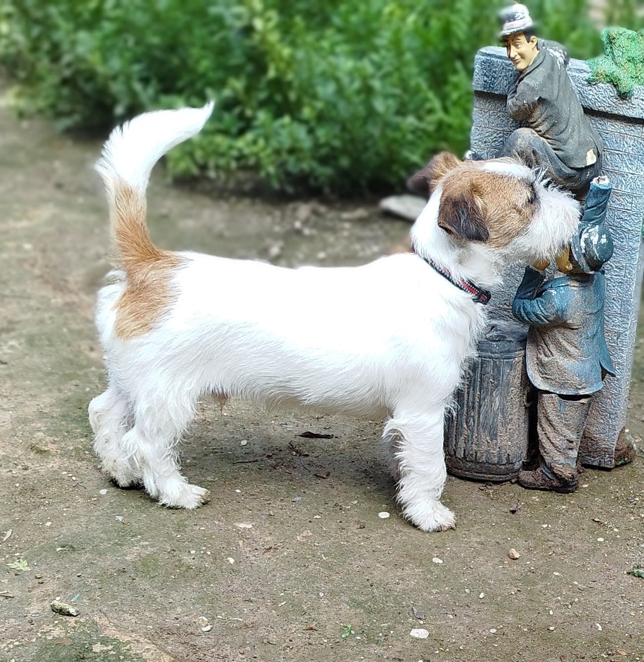 Imagen de whatsapp 2025 04 25 a las 11.29.02 ca75886f