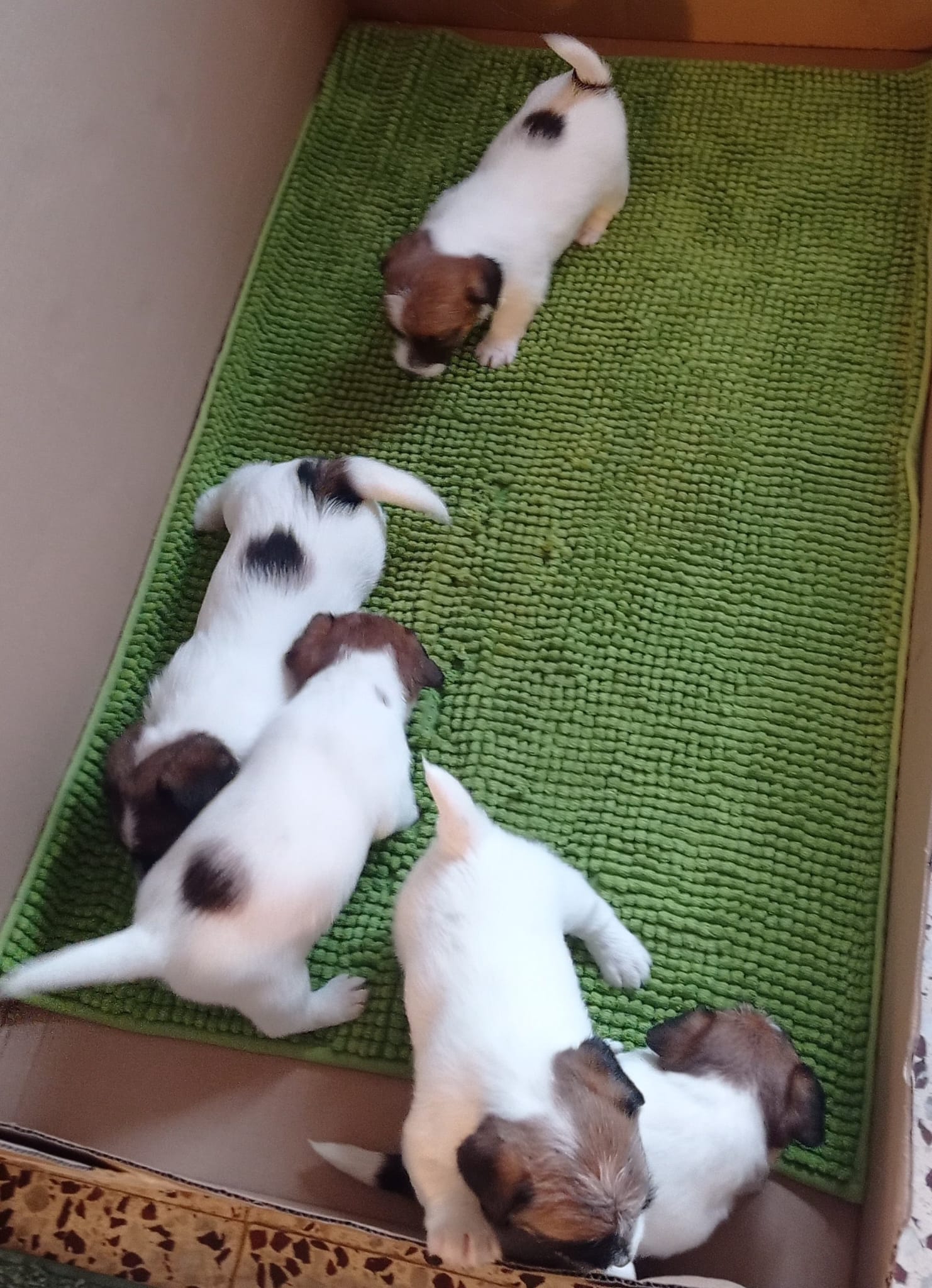 Imagen de whatsapp 2025 05 15 a las 19.49.09 b80aadb2