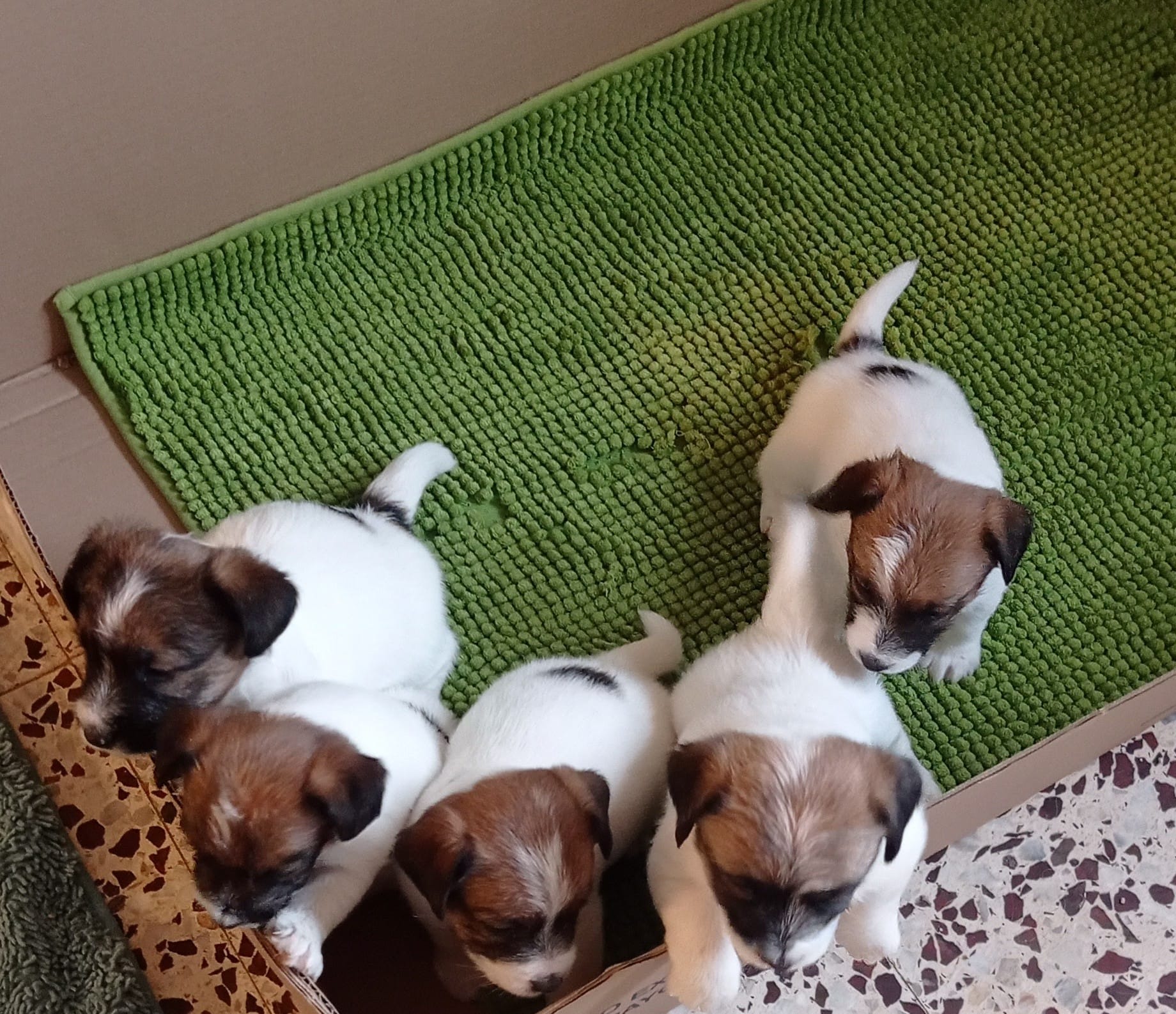 Imagen de whatsapp 2025 05 15 a las 19.49.10 3e2e8672