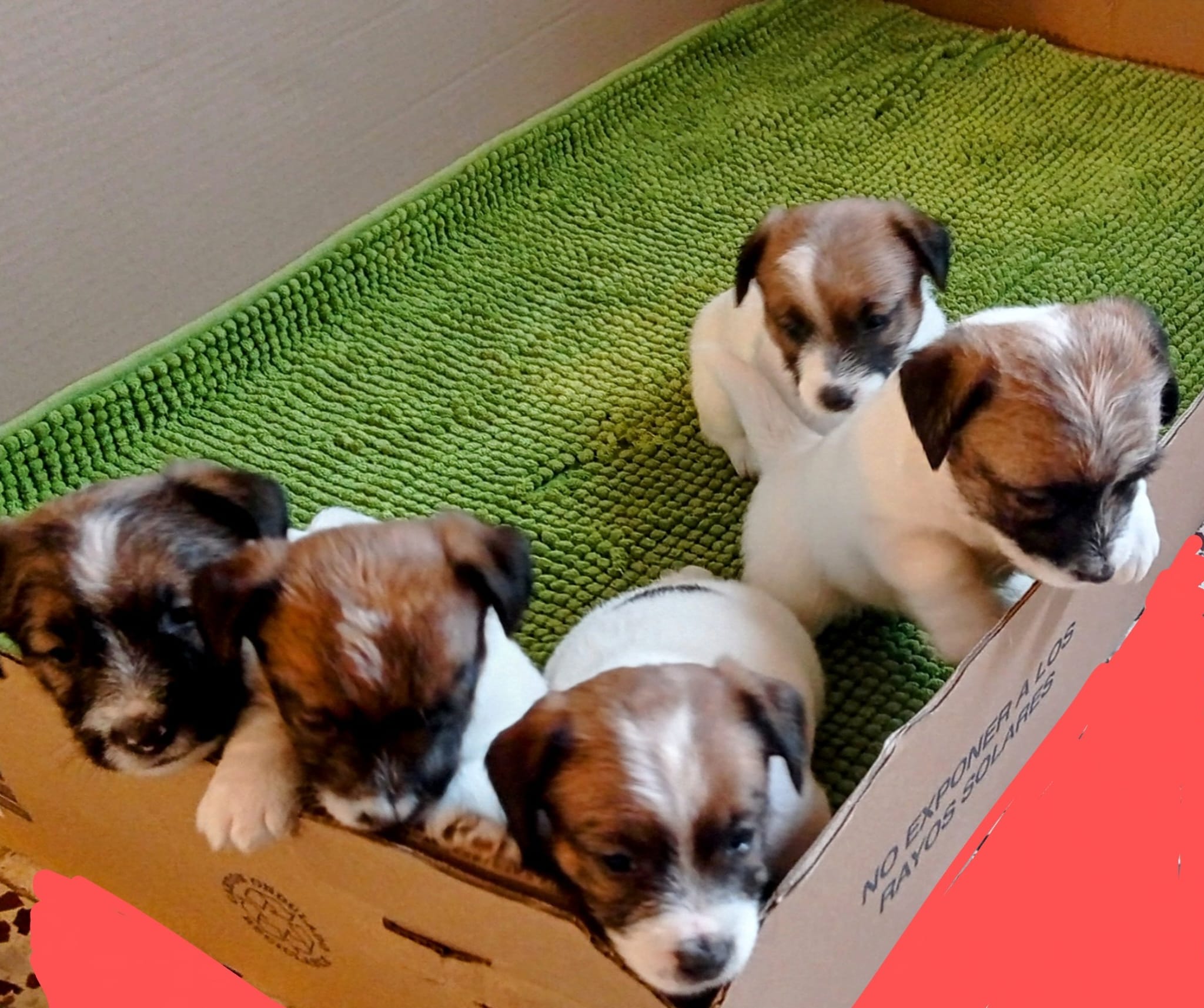 Imagen de whatsapp 2025 05 15 a las 19.49.10 9cefcd46