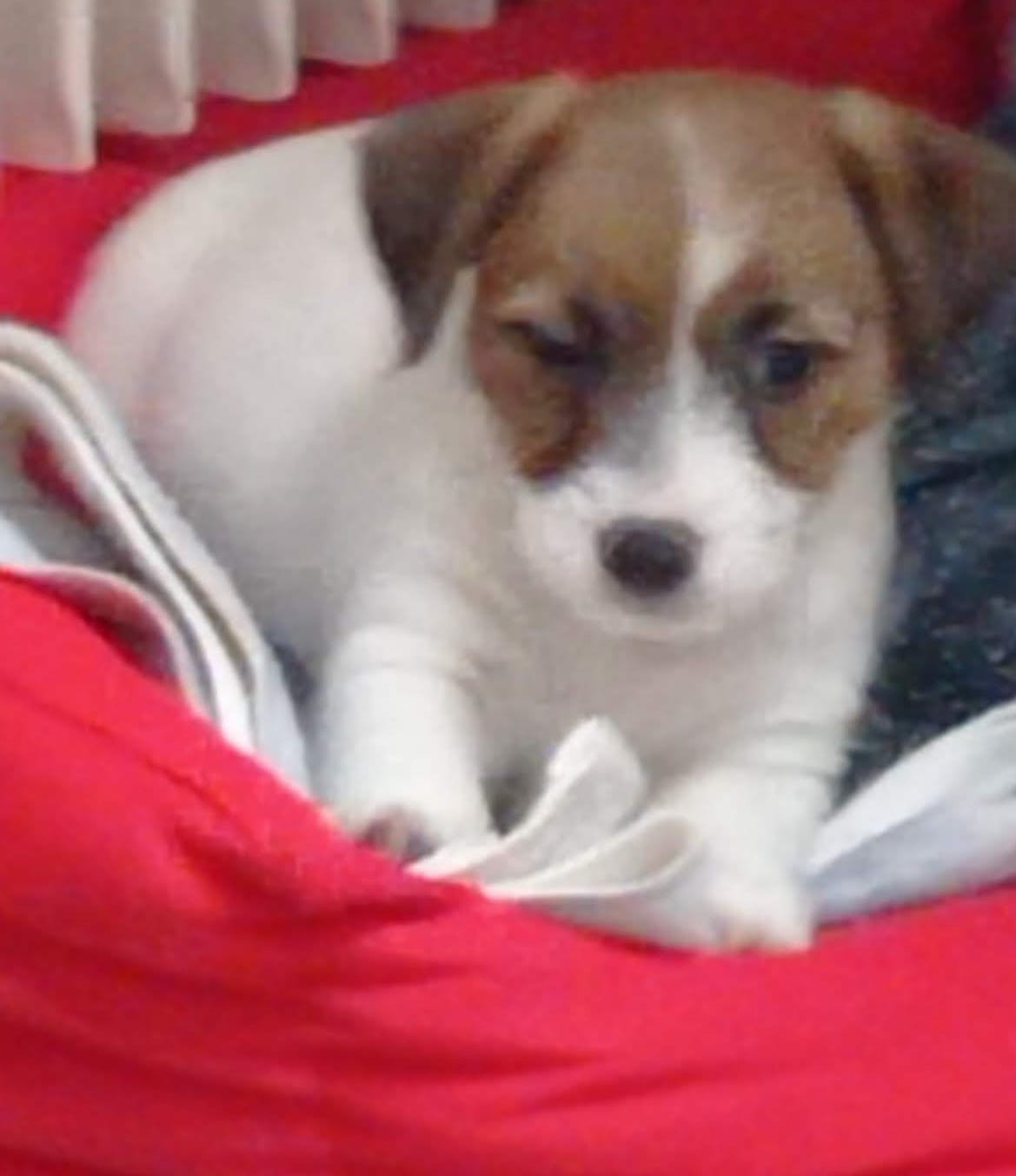 Imagen de whatsapp 2025 05 15 a las 19.49.10 9f9ab4ea