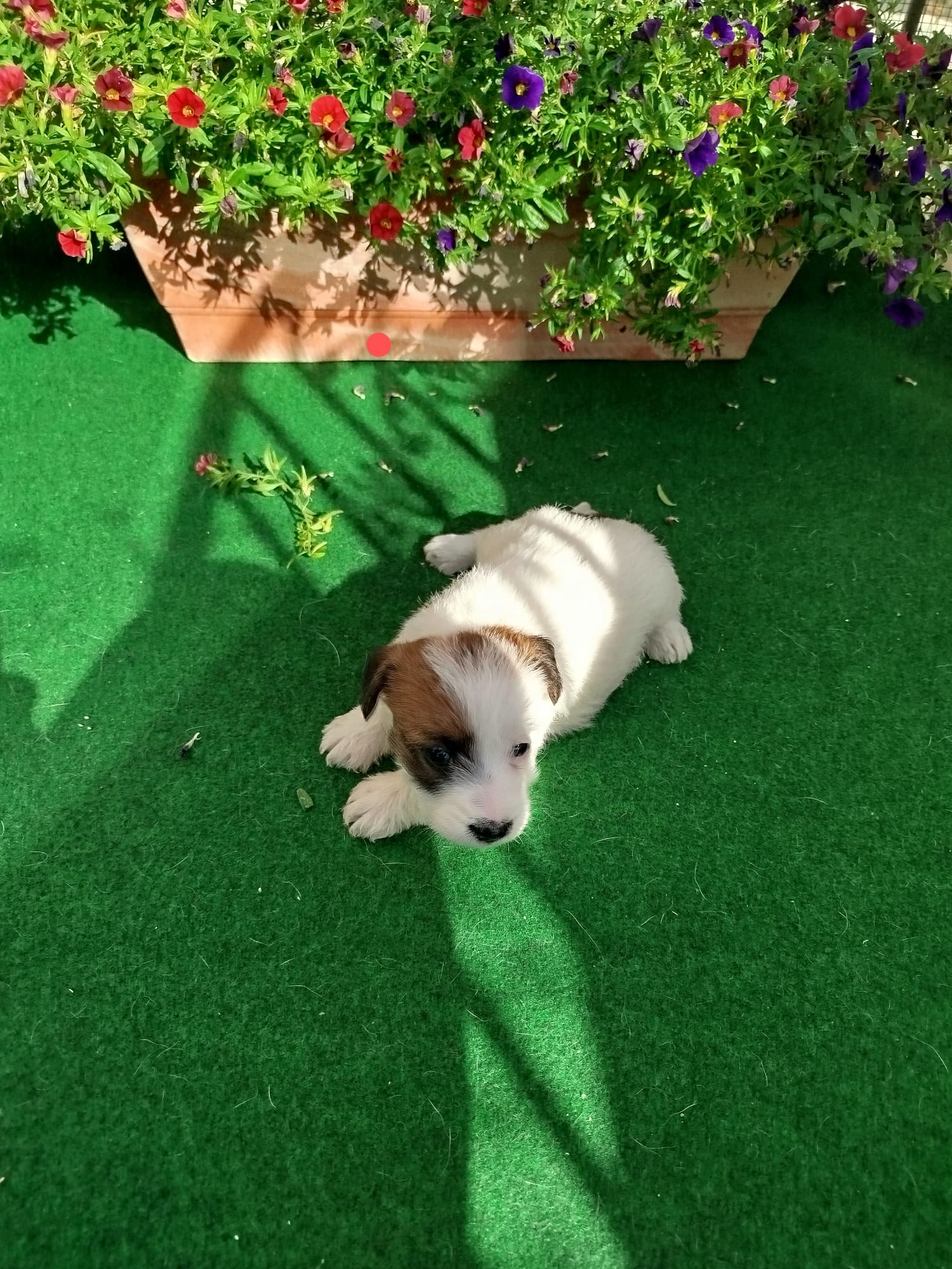 Imagen de whatsapp 2025 07 24 a las 11.02.22 36e47ed1