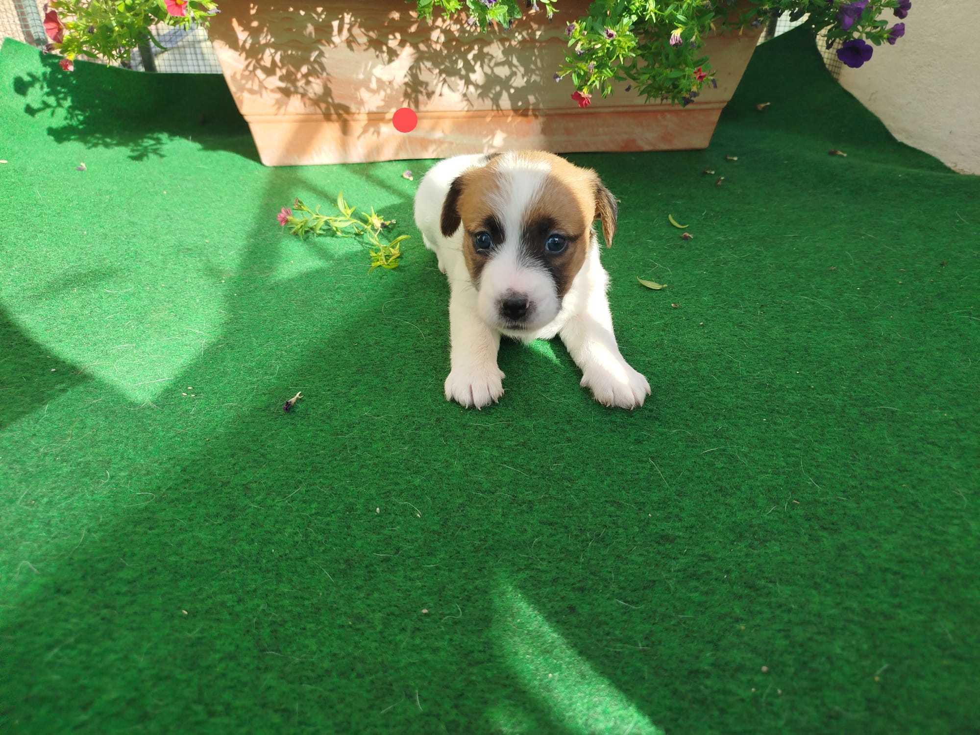 Imagen de whatsapp 2025 07 24 a las 11.02.22 5bc83862