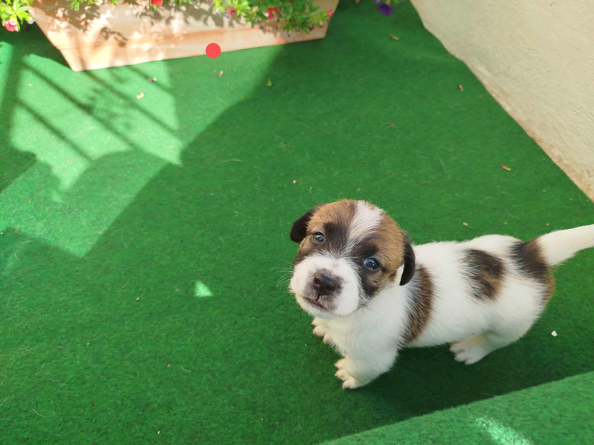 Imagen de whatsapp 2025 07 24 a las 11.02.22 7db13caa