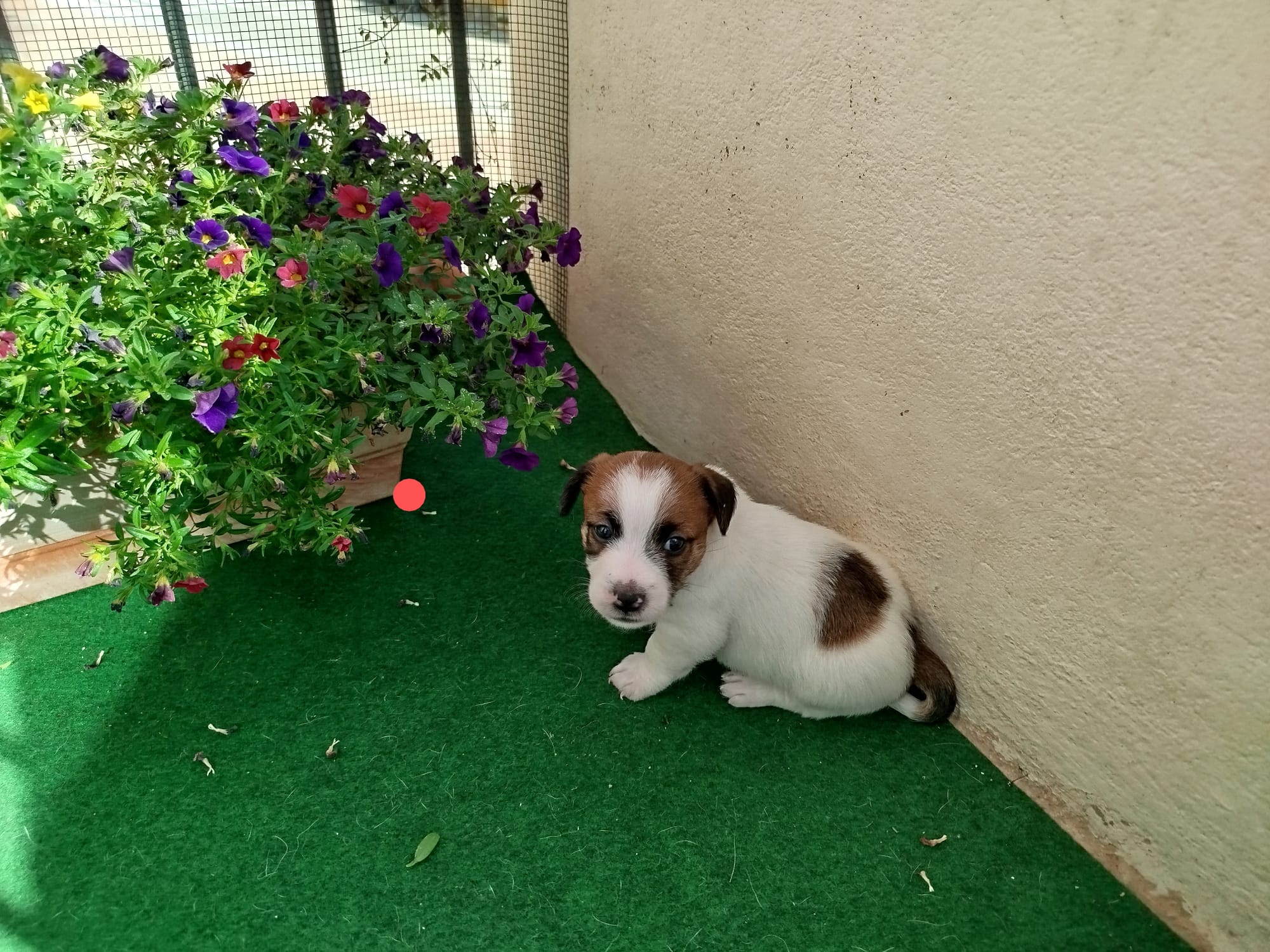 Imagen de whatsapp 2025 07 24 a las 11.02.22 a0e883bd