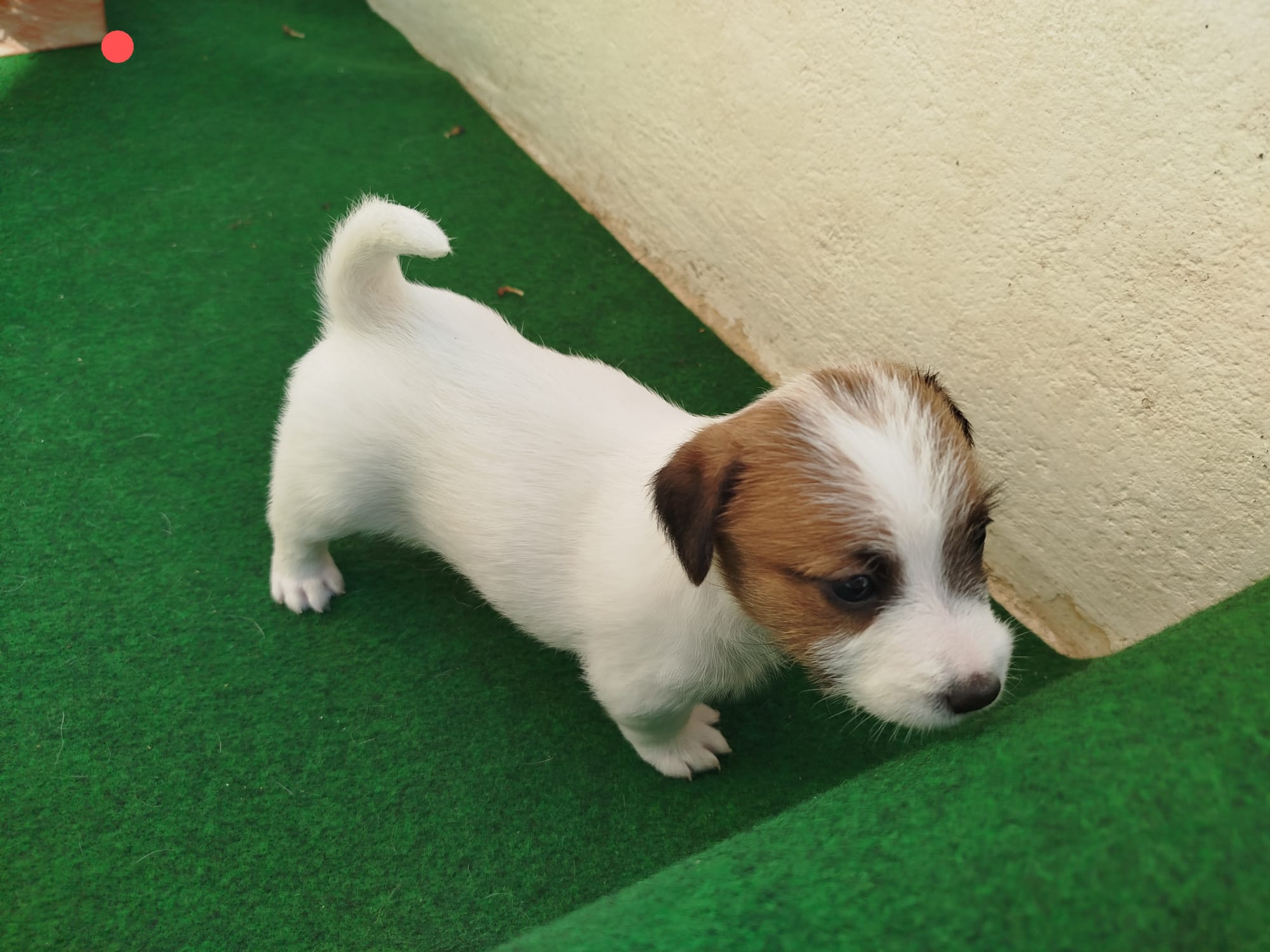 Imagen de whatsapp 2025 07 24 a las 11.02.23 63f97ec1