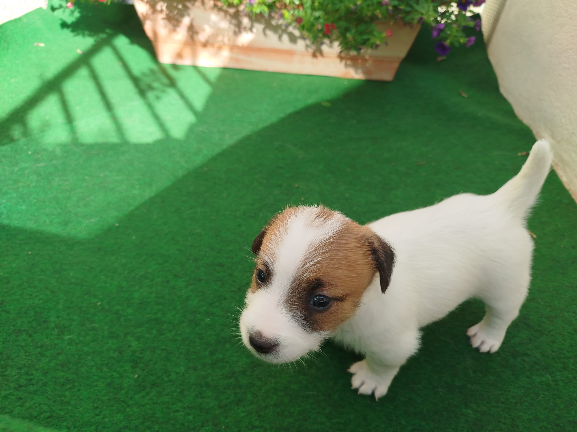 Imagen de whatsapp 2025 07 24 a las 11.02.23 7cb51e69