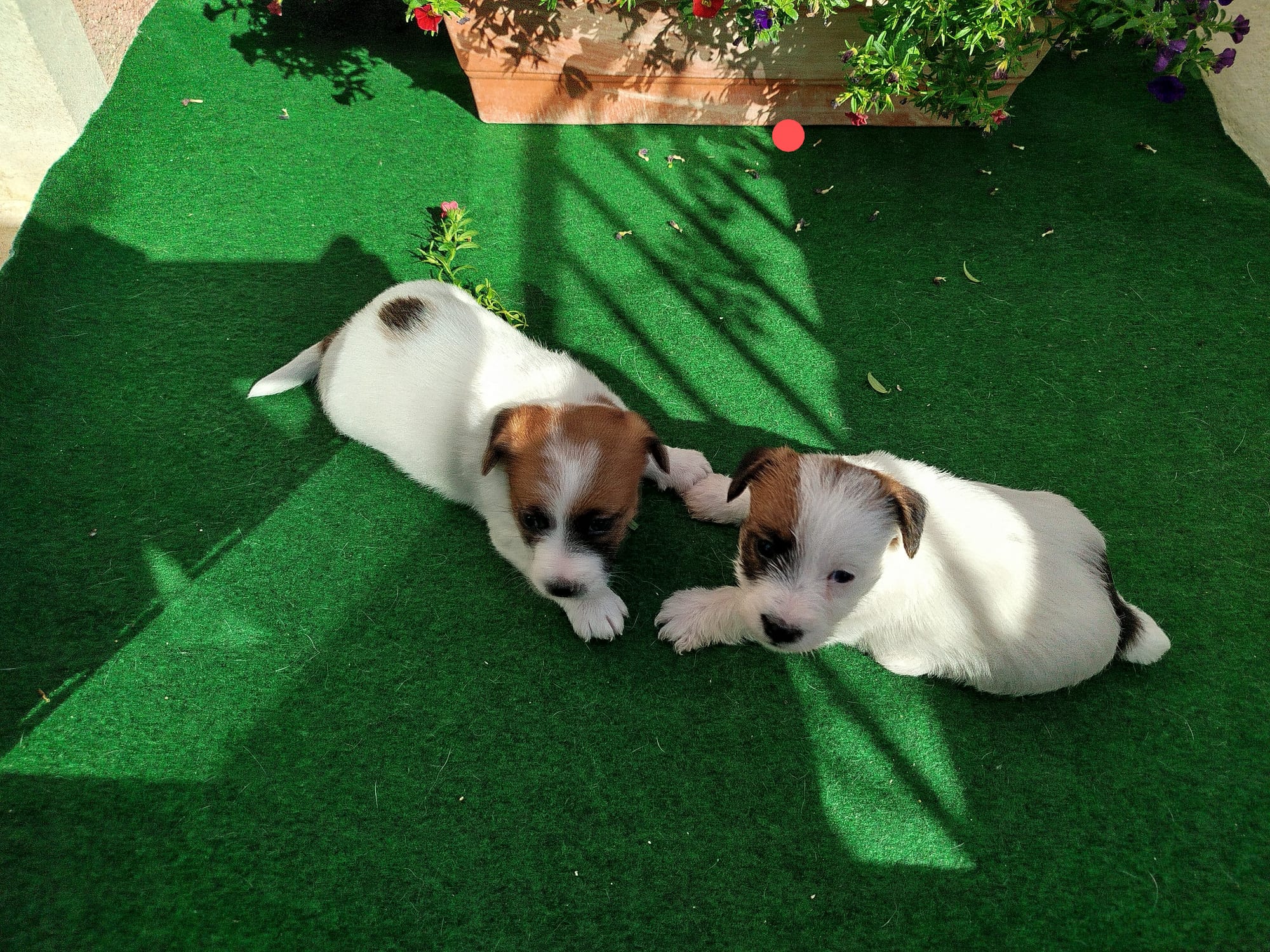 Imagen de whatsapp 2025 07 24 a las 11.02.23 b7cd495c