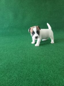 Imagen de whatsapp 2025 09 05 a las 16.40.01 f0ff152c