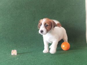 Imagen de whatsapp 2025 09 05 a las 16.40.02 3e55a714