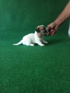 Imagen de whatsapp 2025 09 05 a las 16.40.02 8df78a8a