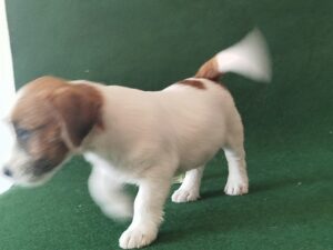 Imagen de whatsapp 2025 09 05 a las 16.40.02 e3ca7af8