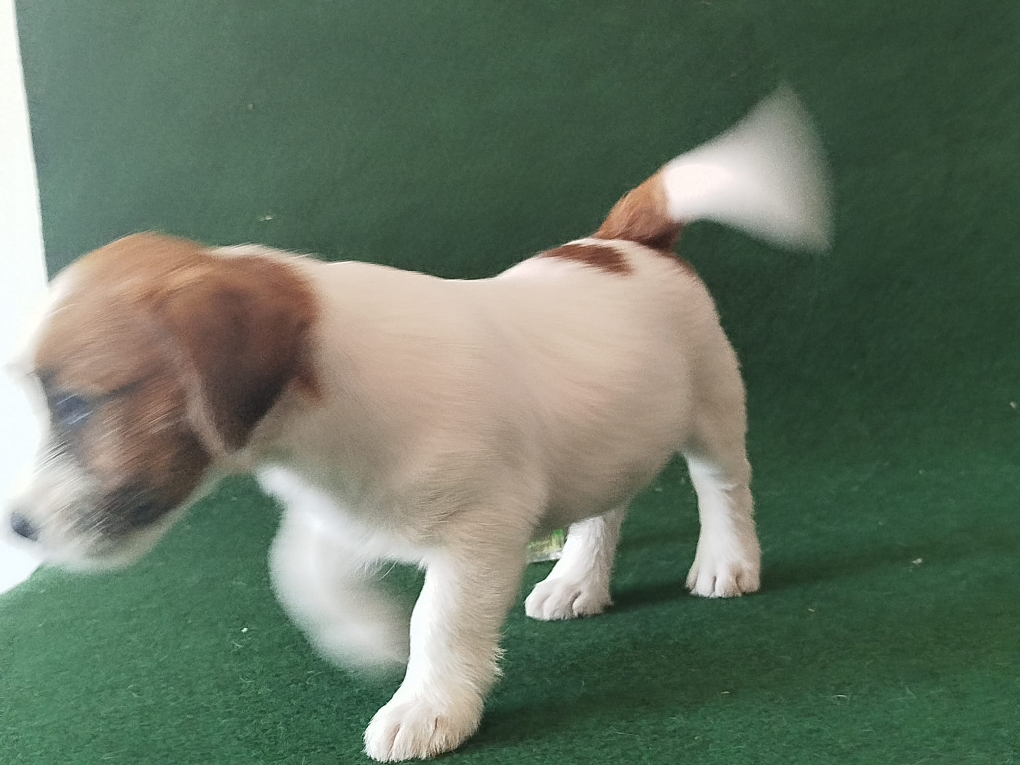 Imagen de whatsapp 2025 09 05 a las 16.40.02 e3ca7af8