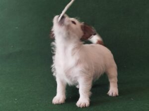 Imagen de whatsapp 2025 09 05 a las 16.40.03 52e6c995