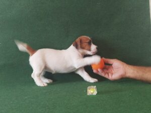 Imagen de whatsapp 2025 09 05 a las 16.40.03 c9d5740f