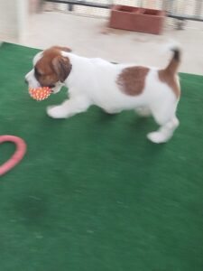 Imagen de whatsapp 2025 09 05 a las 16.40.04 332b131b