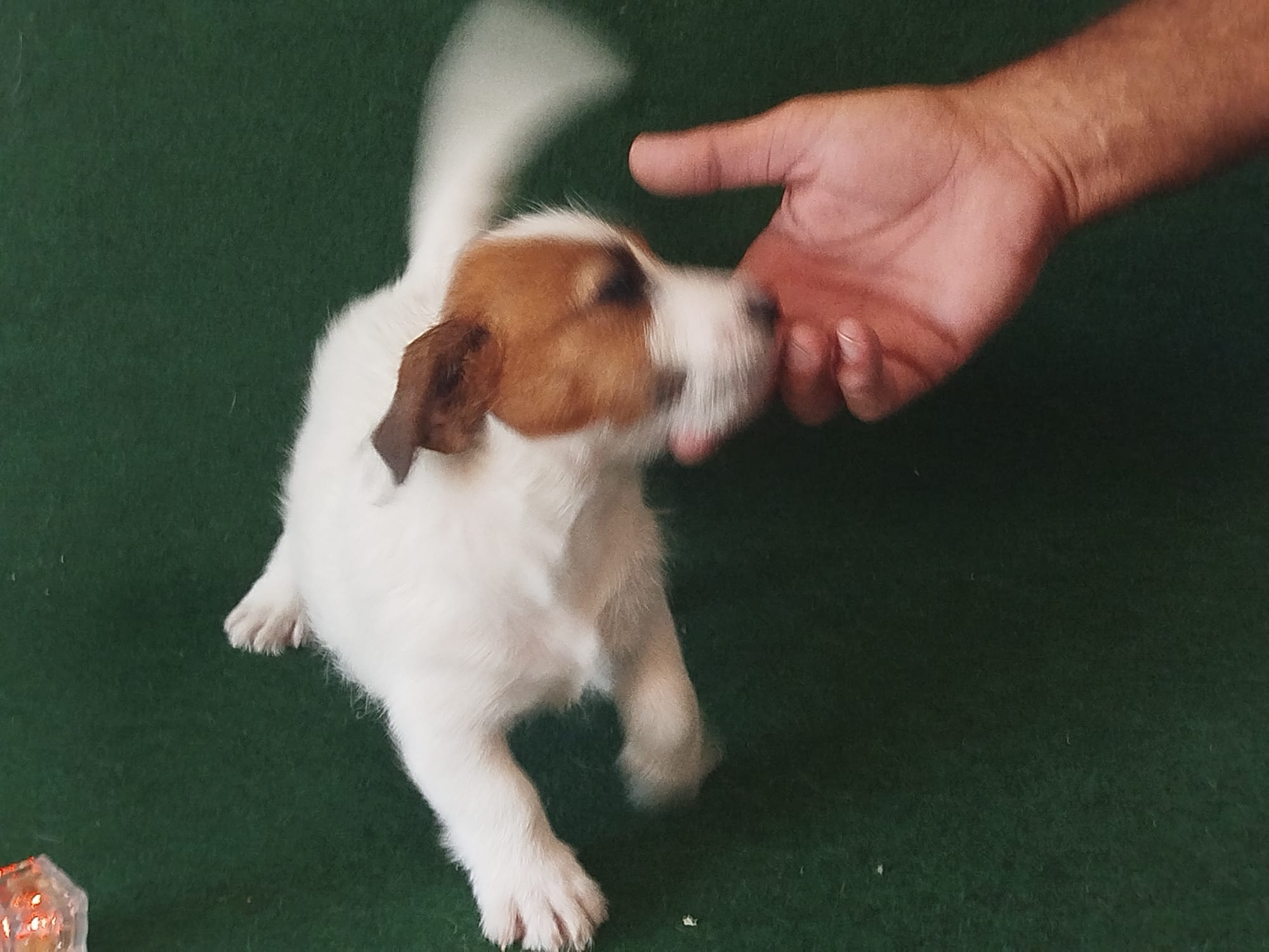 Imagen de whatsapp 2025 09 05 a las 16.40.04 5adea63d