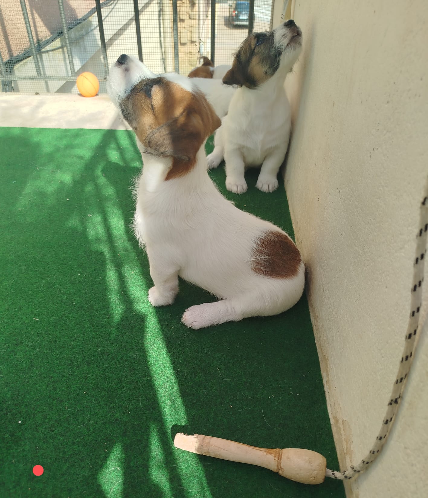 Imagen de whatsapp 2025 09 05 a las 16.40.05 17f2b193