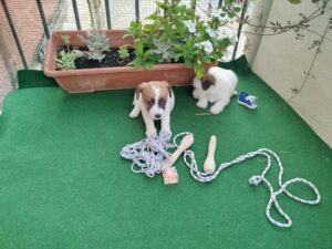 Imagen de whatsapp 2025 09 05 a las 16.40.05 4453ba51