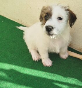 Imagen de whatsapp 2025 09 05 a las 16.40.05 8da5060a