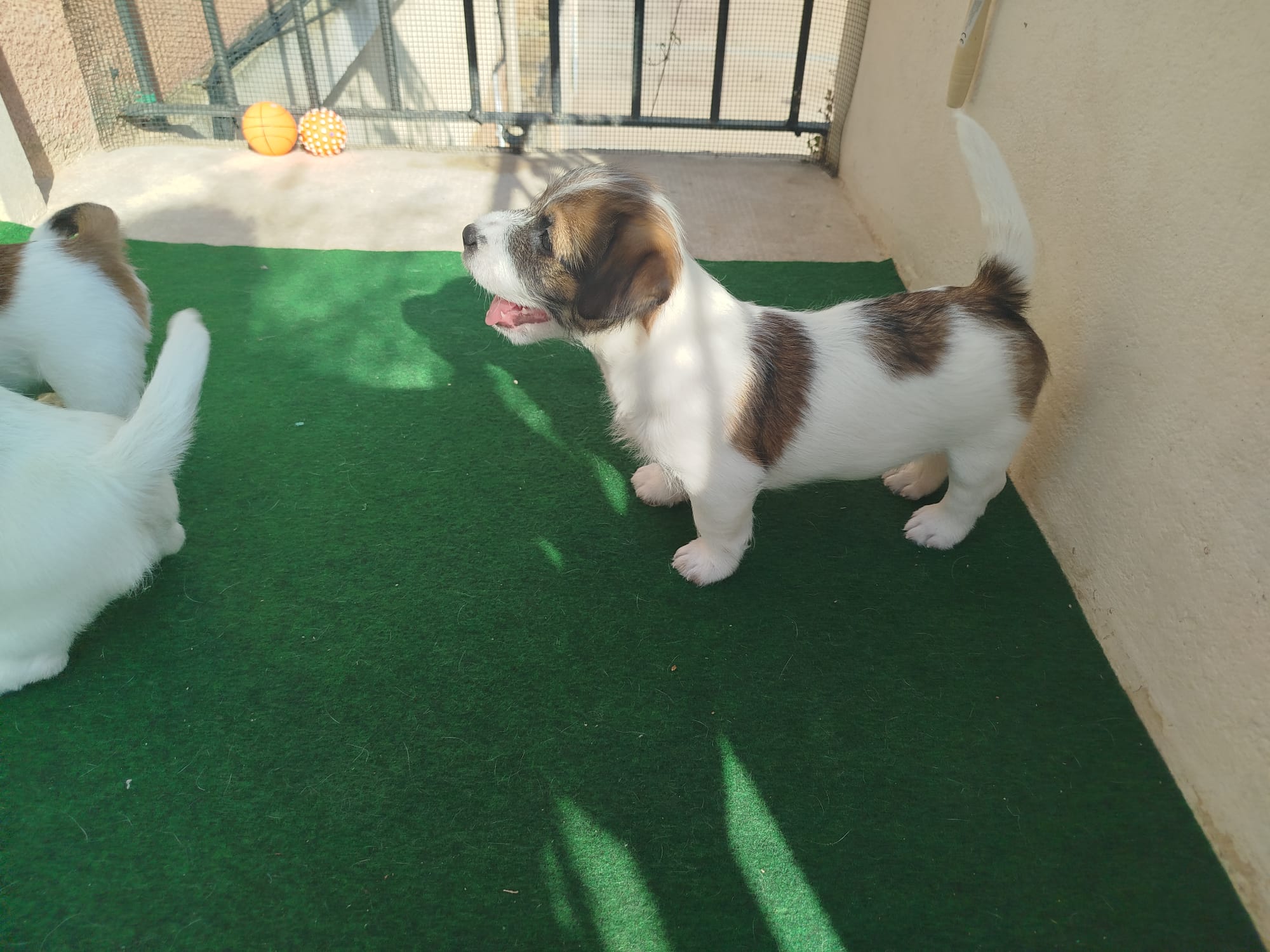 Imagen de whatsapp 2025 09 05 a las 16.40.05 a20b4be4