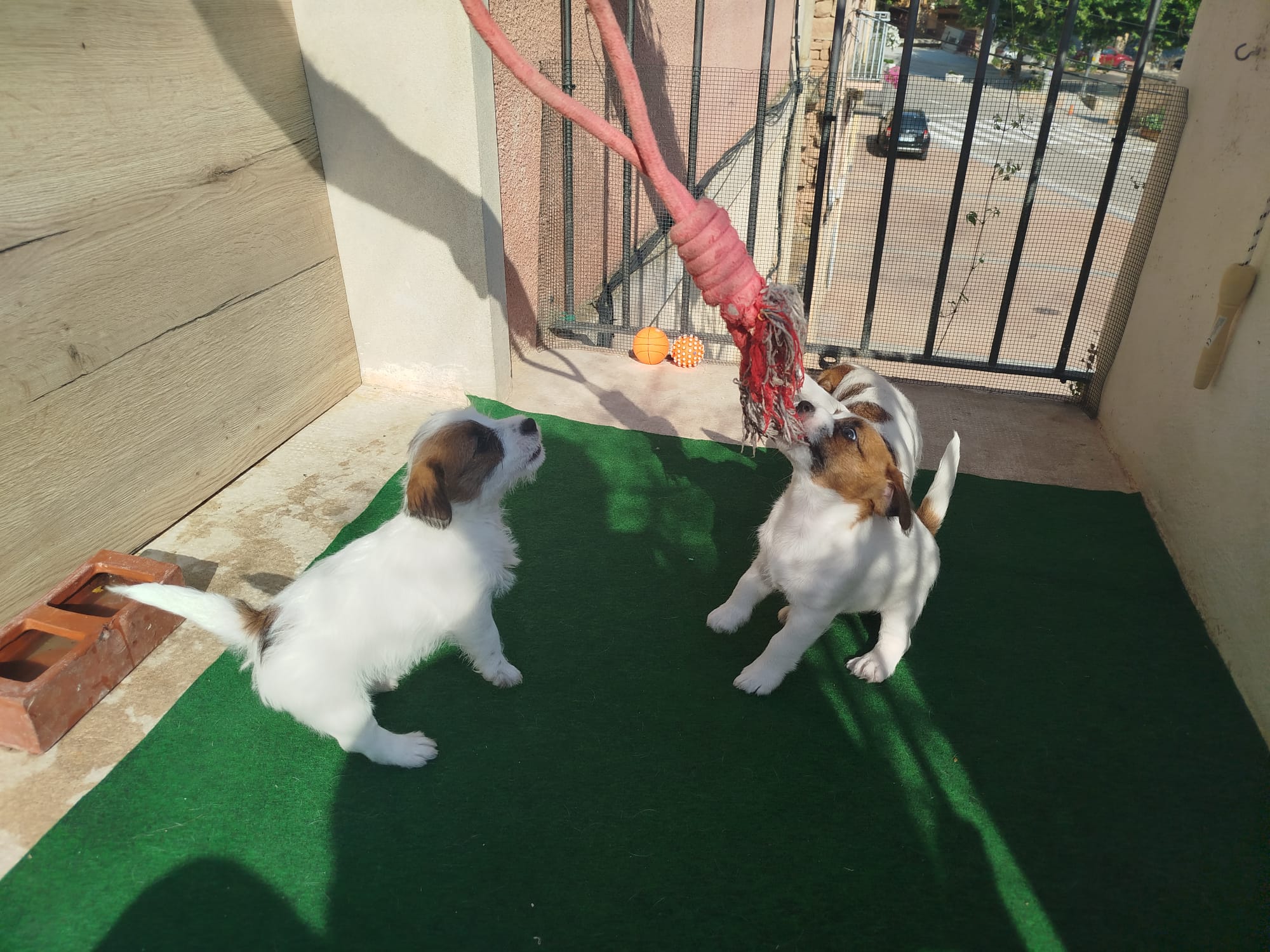 Imagen de whatsapp 2025 09 05 a las 16.40.05 c80e4e4d